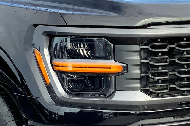 new 2025 Ford F-150 car, priced at $48,829