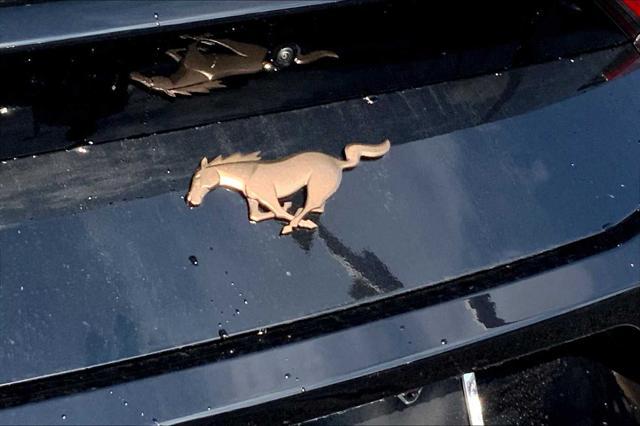 new 2025 Ford Mustang car, priced at $45,600