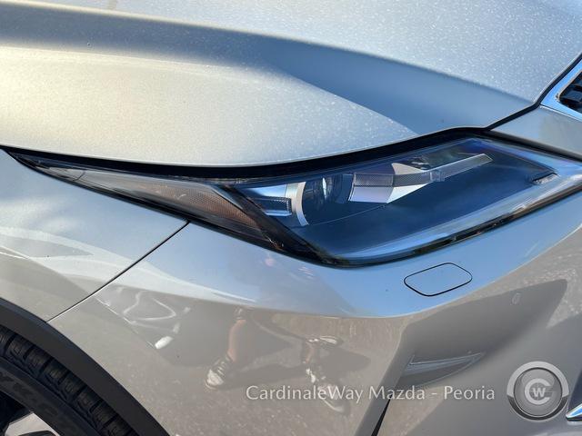 used 2020 Lexus RX 350 car