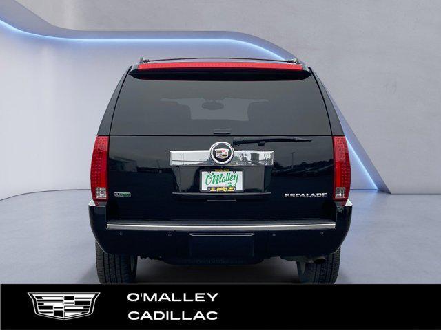 used 2010 Cadillac Escalade car