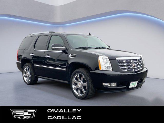 used 2010 Cadillac Escalade car