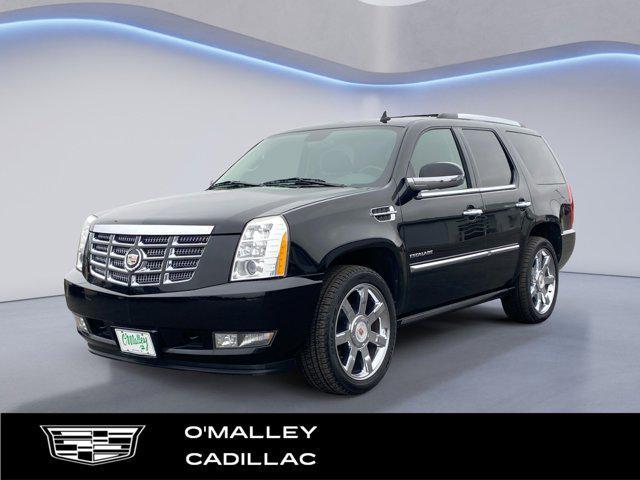 used 2010 Cadillac Escalade car