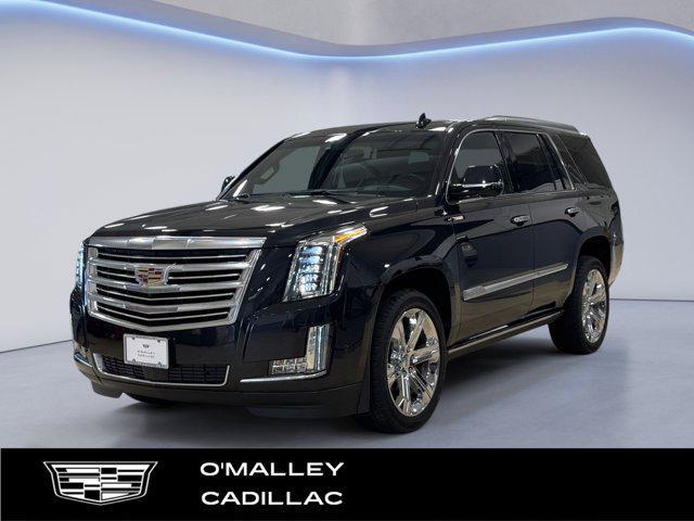 used 2019 Cadillac Escalade car