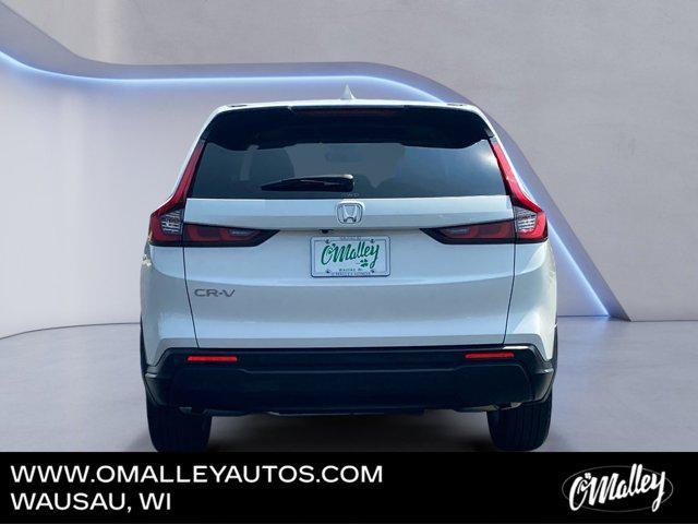 used 2024 Honda CR-V car