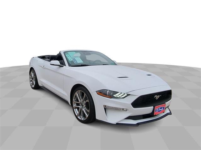 used 2019 Ford Mustang car, priced at $21,995