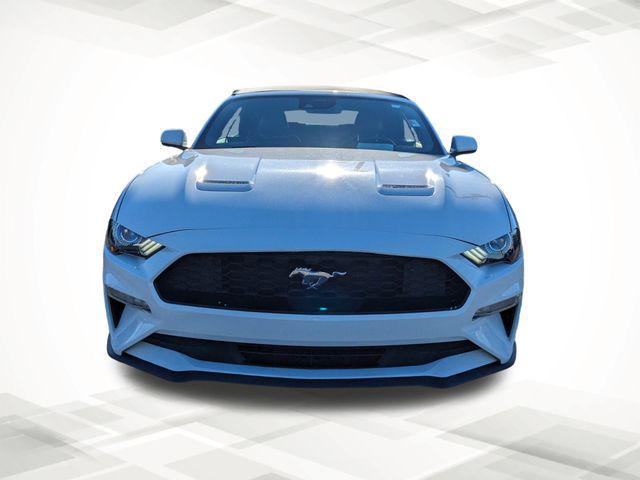 used 2022 Ford Mustang car, priced at $23,239