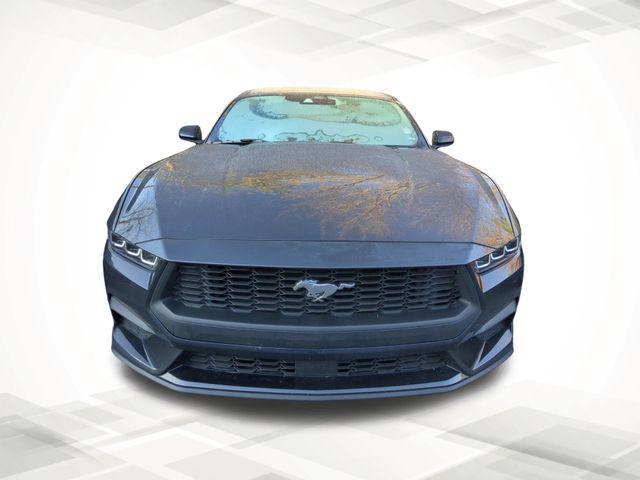 used 2024 Ford Mustang car, priced at $26,398