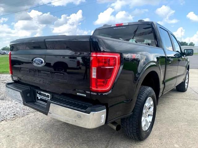 used 2023 Ford F-150 car