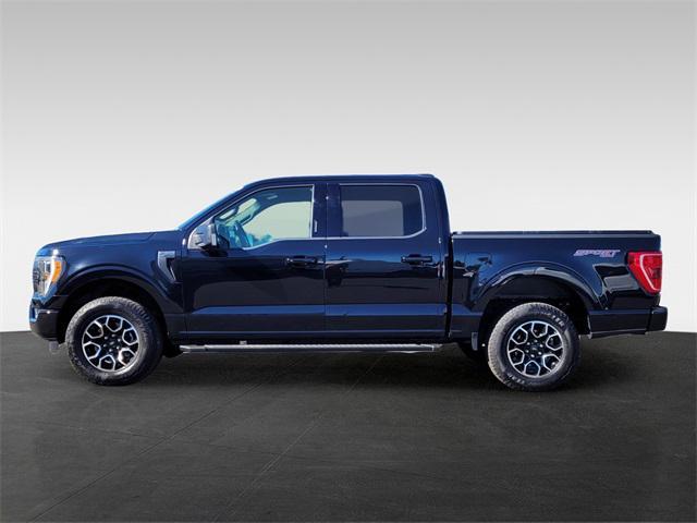 used 2022 Ford F-150 car, priced at $43,988