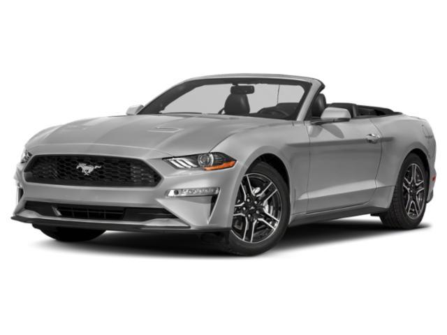 used 2019 Ford Mustang car, priced at $38,880