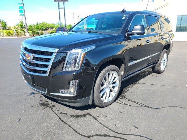 used 2020 Cadillac Escalade car, priced at $53,940