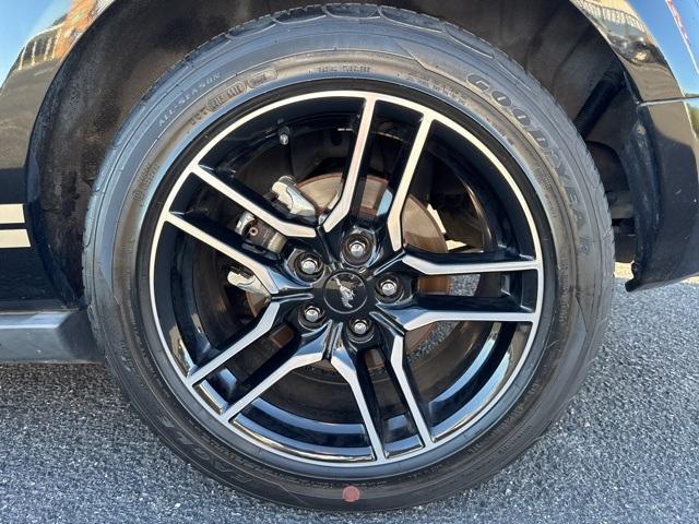 used 2005 Ford Mustang car, priced at $9,000