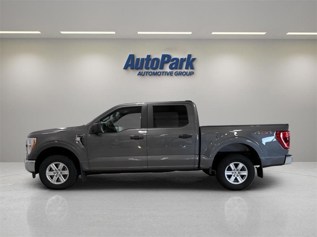 used 2022 Ford F-150 car