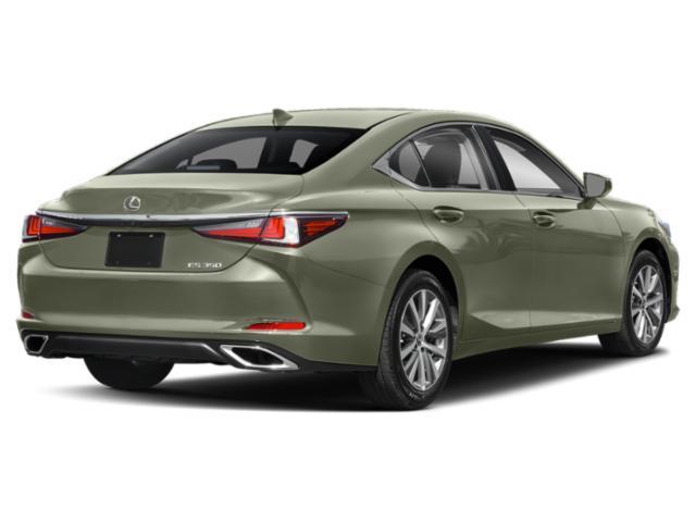 used 2019 Lexus ES 350 car