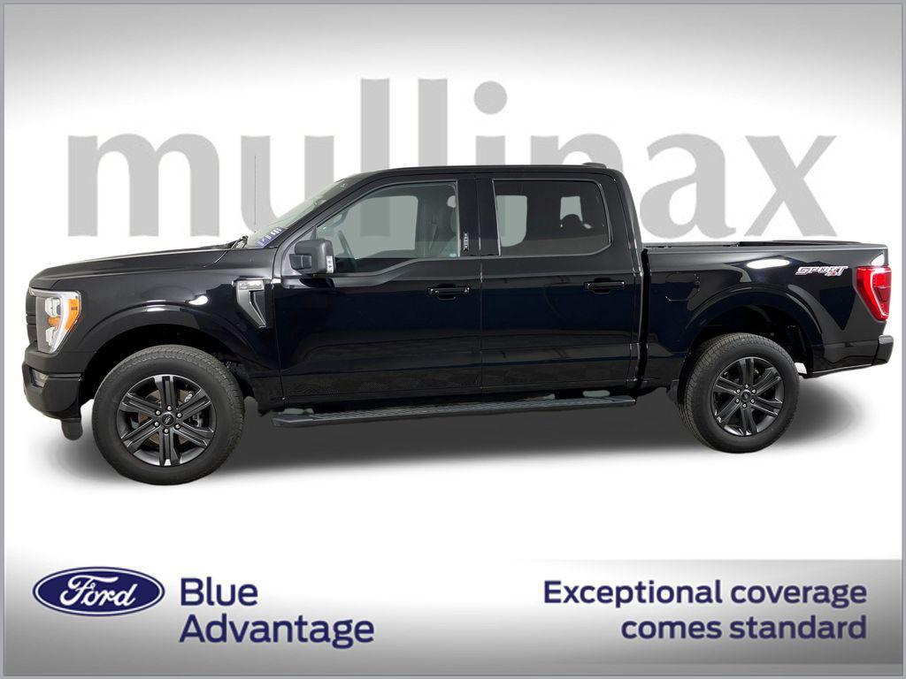used 2023 Ford F-150 car, priced at $45,500