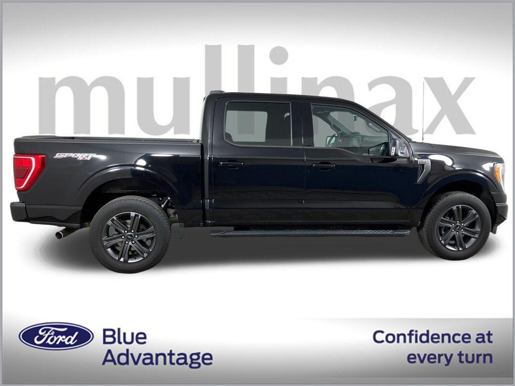 used 2023 Ford F-150 car, priced at $45,500