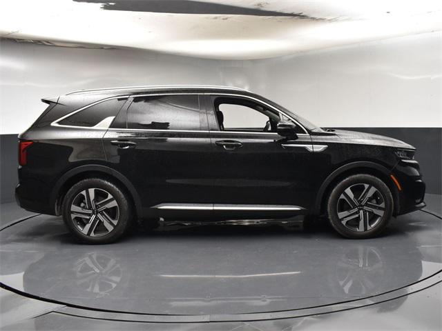 used 2023 Kia Sorento Hybrid car, priced at $31,291