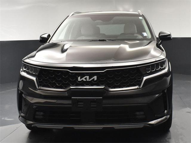 used 2023 Kia Sorento Hybrid car, priced at $29,999