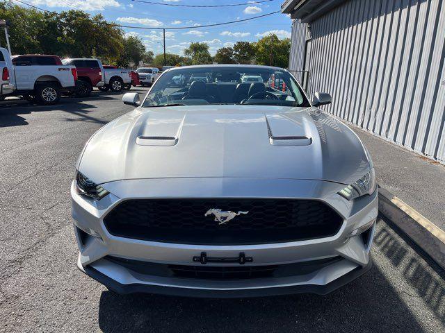 used 2019 Ford Mustang car, priced at $21,995