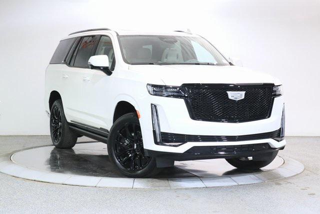 used 2024 Cadillac Escalade car, priced at $89,999