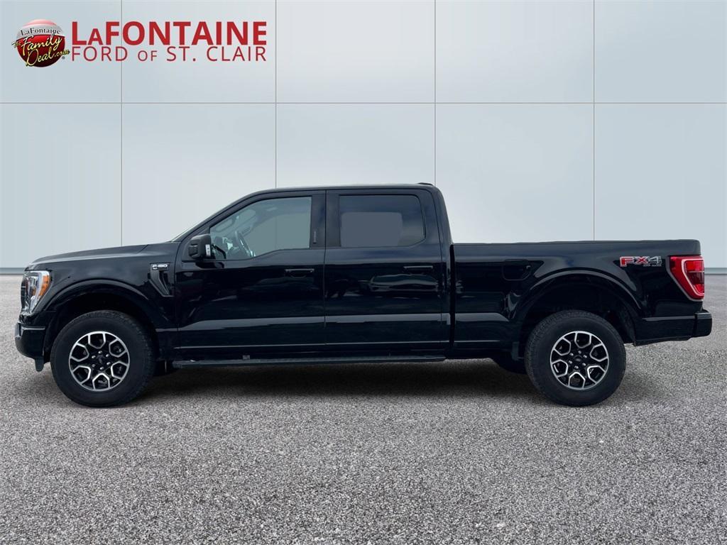 used 2023 Ford F-150 car