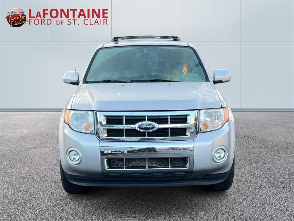 used 2010 Ford Escape car