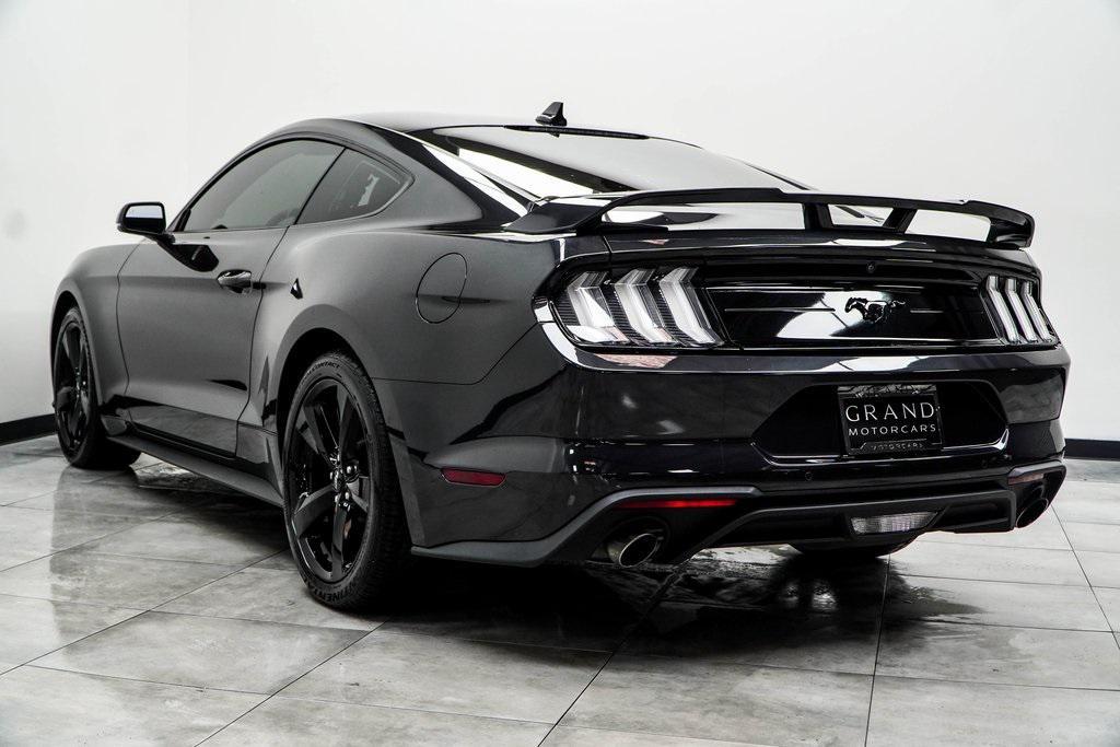 used 2023 Ford Mustang car