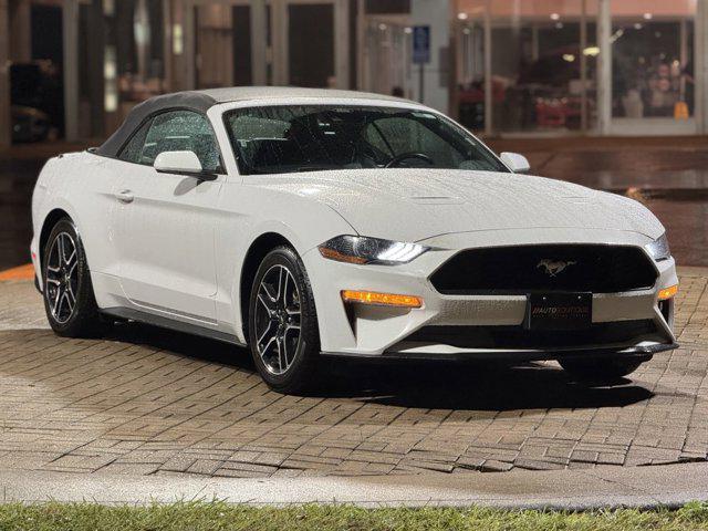 used 2022 Ford Mustang car, priced at $20,000