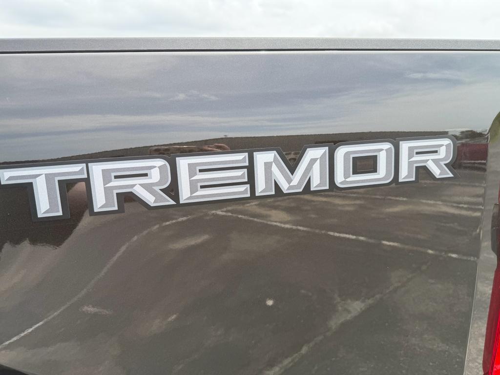 new 2025 Ford F-250 car