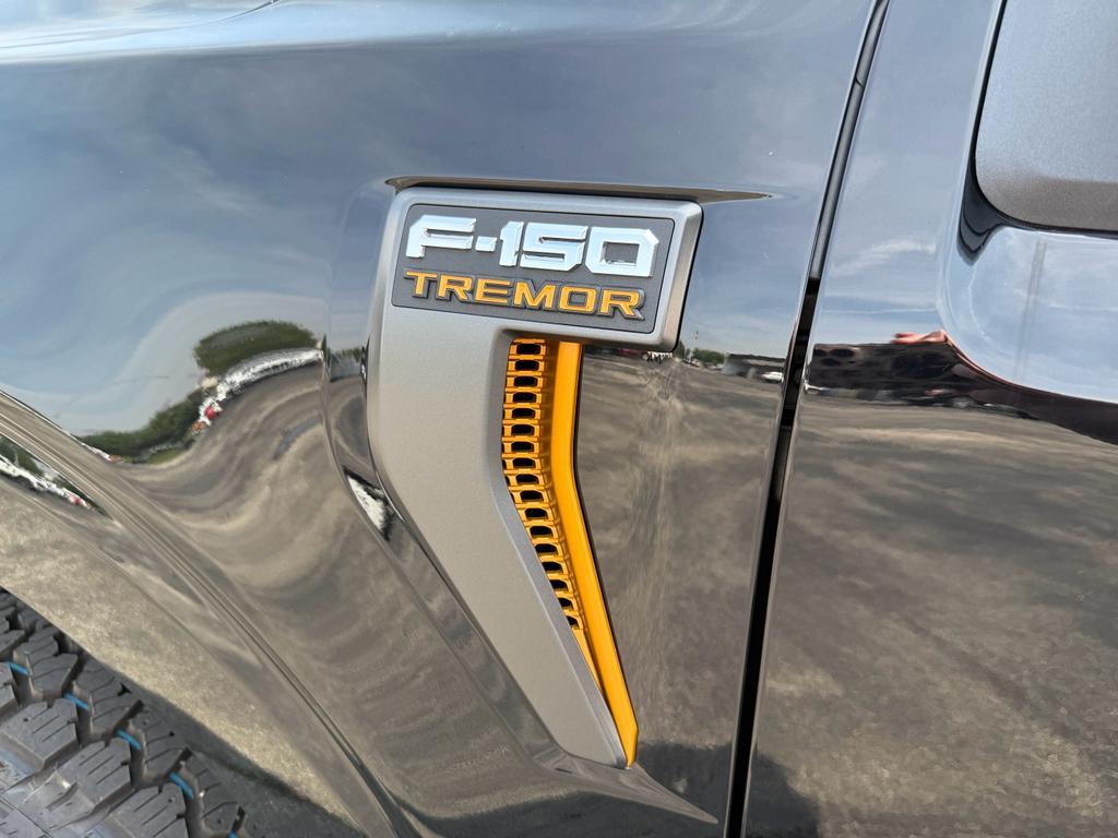 new 2025 Ford F-150 car