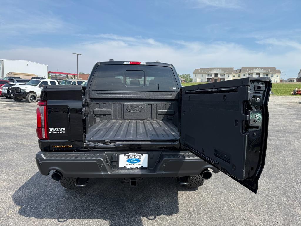 new 2025 Ford F-150 car