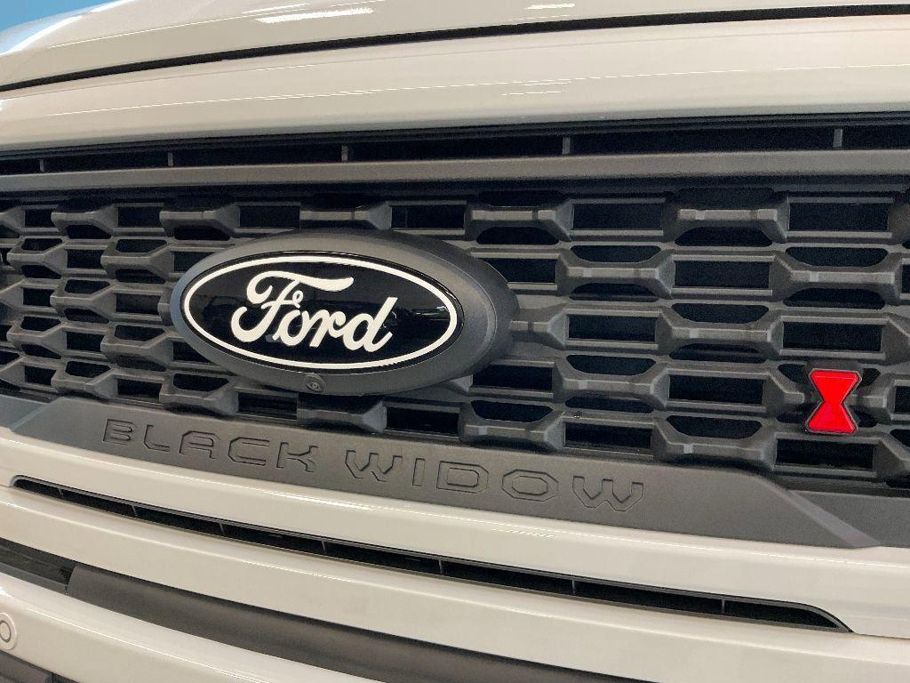 new 2024 Ford F-150 car, priced at $95,000