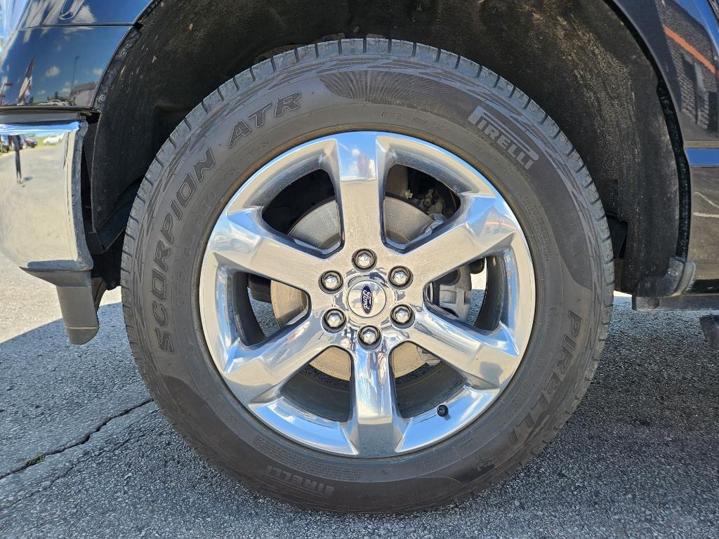 used 2023 Ford F-150 car, priced at $44,500