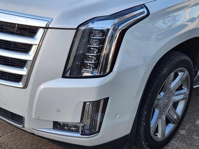 used 2020 Cadillac Escalade car, priced at $35,000