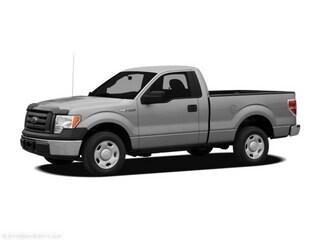 new 2010 Ford F-150 car