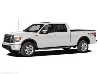 new 2010 Ford F-150 car