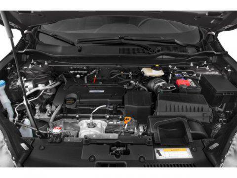 used 2019 Honda CR-V car, priced at $19,999