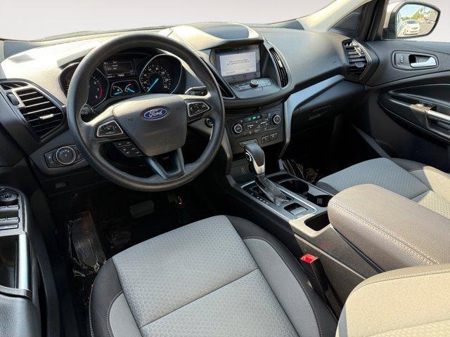 used 2019 Ford Escape car, priced at $13,999