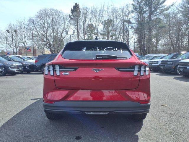 new 2024 Ford Mustang Mach-E car, priced at $50,365