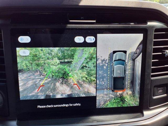 new 2025 Ford F-150 car
