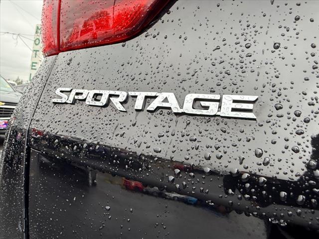 used 2019 Kia Sportage car