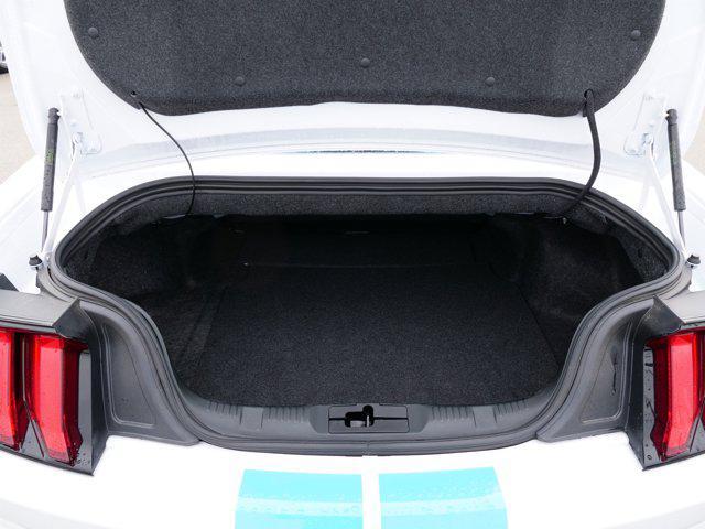 used 2022 Ford Mustang car