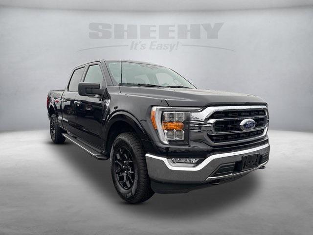 used 2023 Ford F-150 car, priced at $37,950