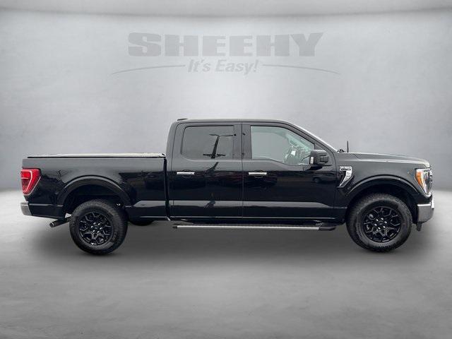 used 2023 Ford F-150 car, priced at $37,950