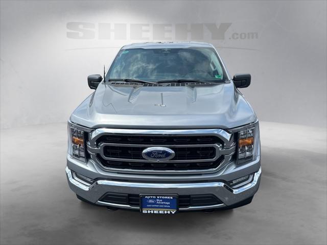 used 2023 Ford F-150 car, priced at $44,500
