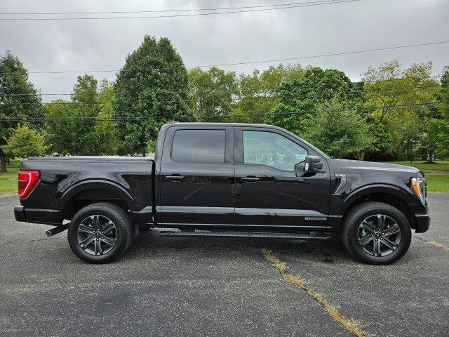 used 2023 Ford F-150 car, priced at $45,990