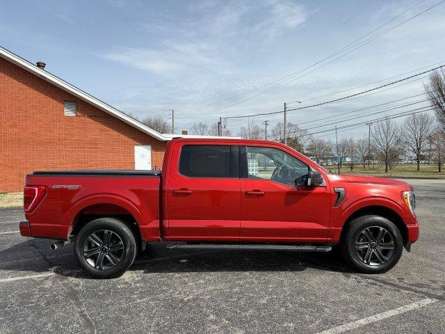 used 2023 Ford F-150 car, priced at $44,990