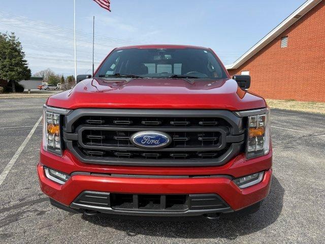 used 2023 Ford F-150 car, priced at $44,990