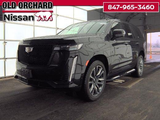 used 2023 Hyundai Palisade car, priced at $36,888