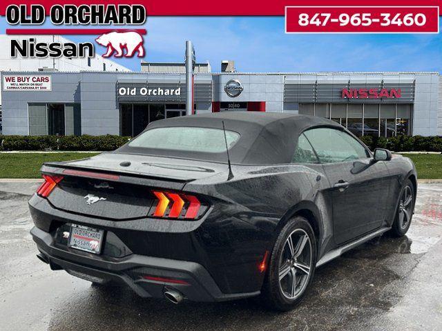 used 2024 Ford Mustang car, priced at $31,888